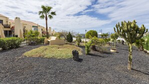 Un patio con una palmera, un cactus y un área de estar al aire libre color arena.