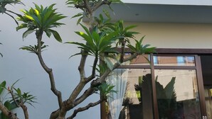 Un edificio moderno con piscina, un balcón con plantas y una puerta de cristal que da a un espacio interior.