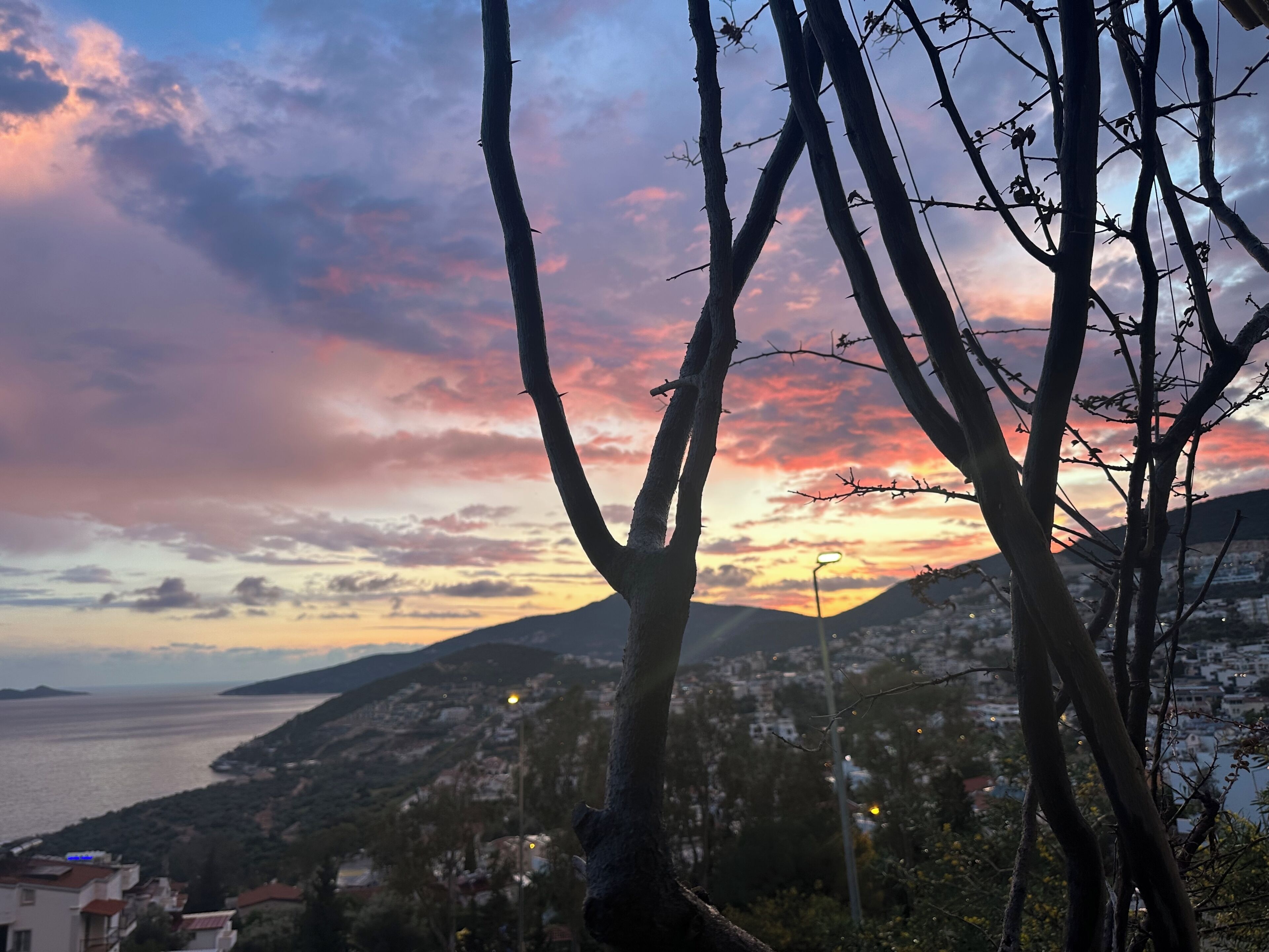Un paysage côtier avec un coucher de soleil, des arbres et des bâtiments situés au loin.