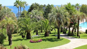 Un jardin aménagé avec des palmiers et un sentier menant à un bâtiment.