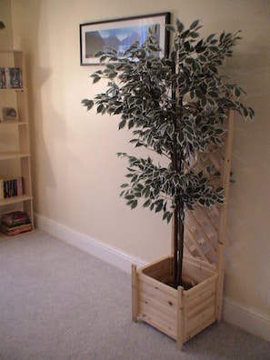 Cozy reading nook with a bookshelf and a potted plant.