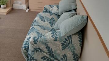 Télévision, cheminée, lecteur de DVD, livres