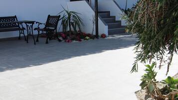 Terras