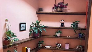 A staircase with wooden railings and multiple shelves holding plants, books, and decorative items. - The Feng Shui House Perseverance for 4 people (Aldehuela)