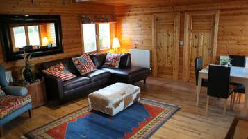 TV, fireplace, DVD player, books