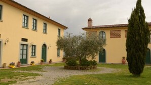 Un patio con un árbol pequeño, un alto ciprés y un edificio de fachada amarilla y puertas verdes.