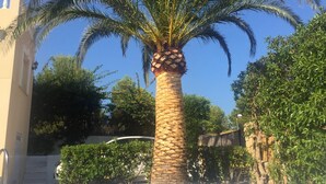 Un área de piscina con una palmera, un muro de piedra y un edificio con balcón.