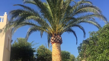 Una piscina al aire libre, una piscina climatizada