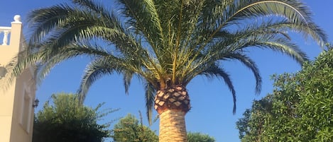 Piscina all'aperto, una piscina riscaldata