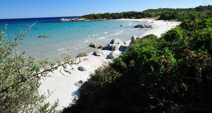 House with garden and porch 100 meters from the sea, free and equipped beach