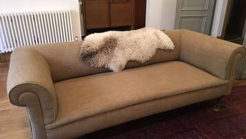 Smart TV, DVD player, books, video library