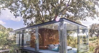 Bungalow 1 - Montemor