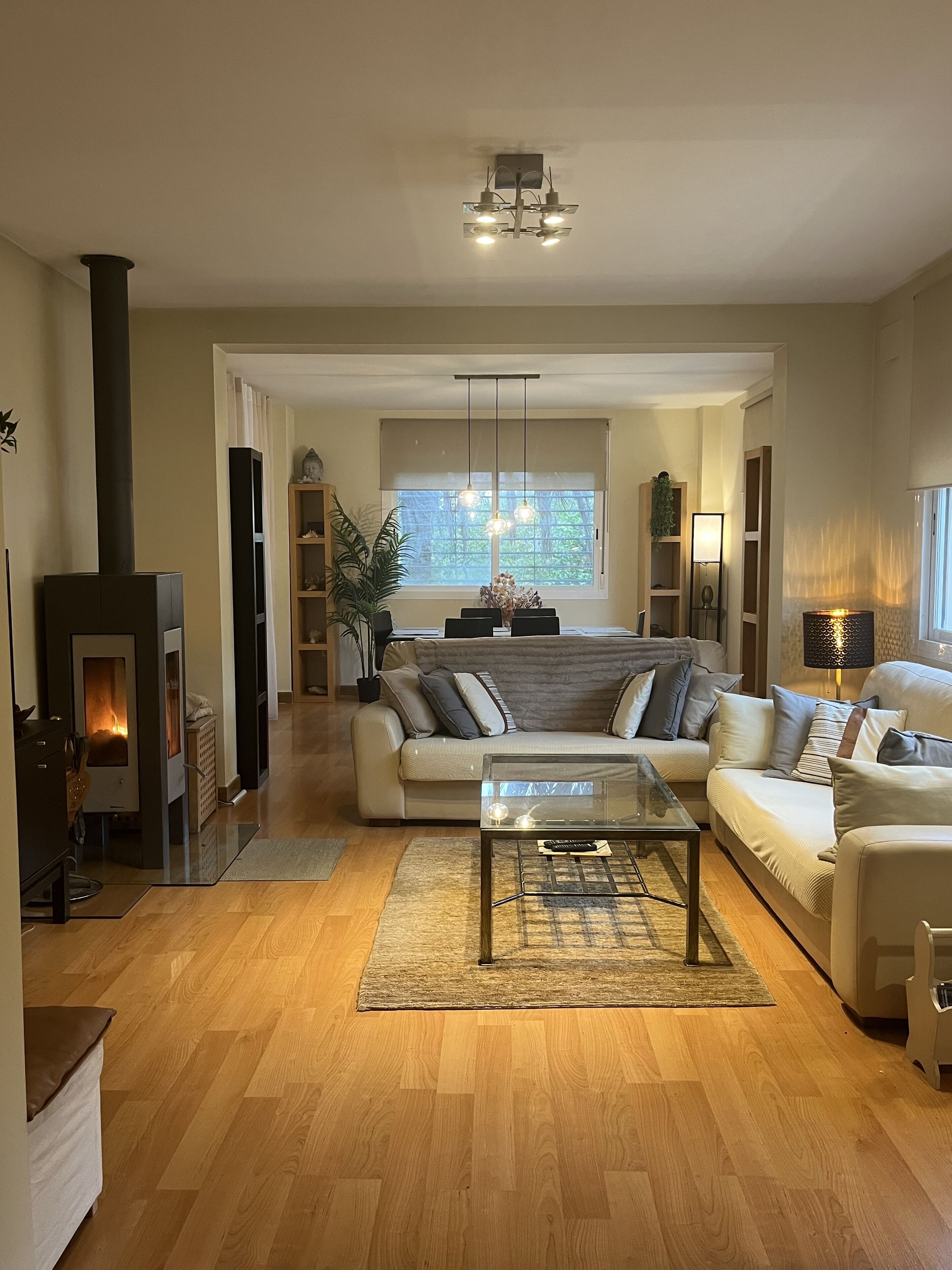 Smart-TV, peis og bøker