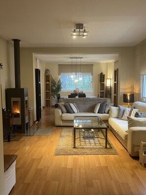 Smart TV, chimenea y libros