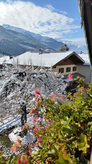 Property grounds - Apartment "Emerald" in traditional Austrian wooden chalet  (Mühlbach)