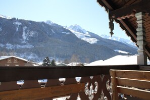 Property grounds - Apartment "Emerald" in traditional Austrian wooden chalet  (Mühlbach)