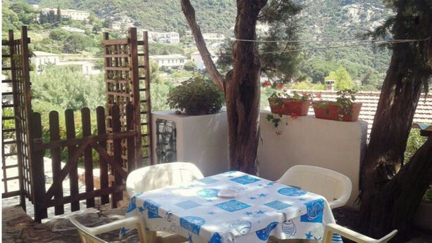 Un patio con tavolo e sedie, una recinzione di legno e piante in vaso.