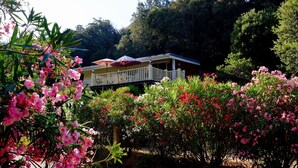 Ein Haus mit einem Balkon, der auf einen Garten mit rosa Blumen blickt.