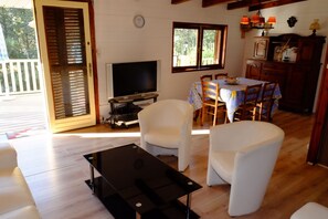 Televisio, DVD-soitin, kirjoja