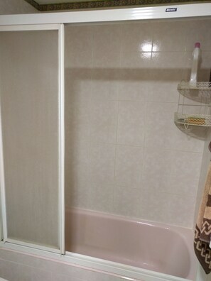 Combined shower/tub, bidet, towels, soap