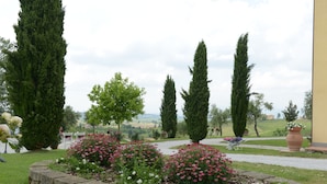 A garden with stone borders, tall trees, and a pathway leading to a bench. - CAMERA PENDOLINO at Agriturismo MUSIGNANO (cerreto, guidi)