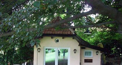 Villa in private park on Lake Orta