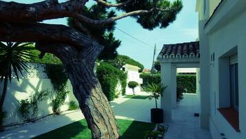 Área da propriedade