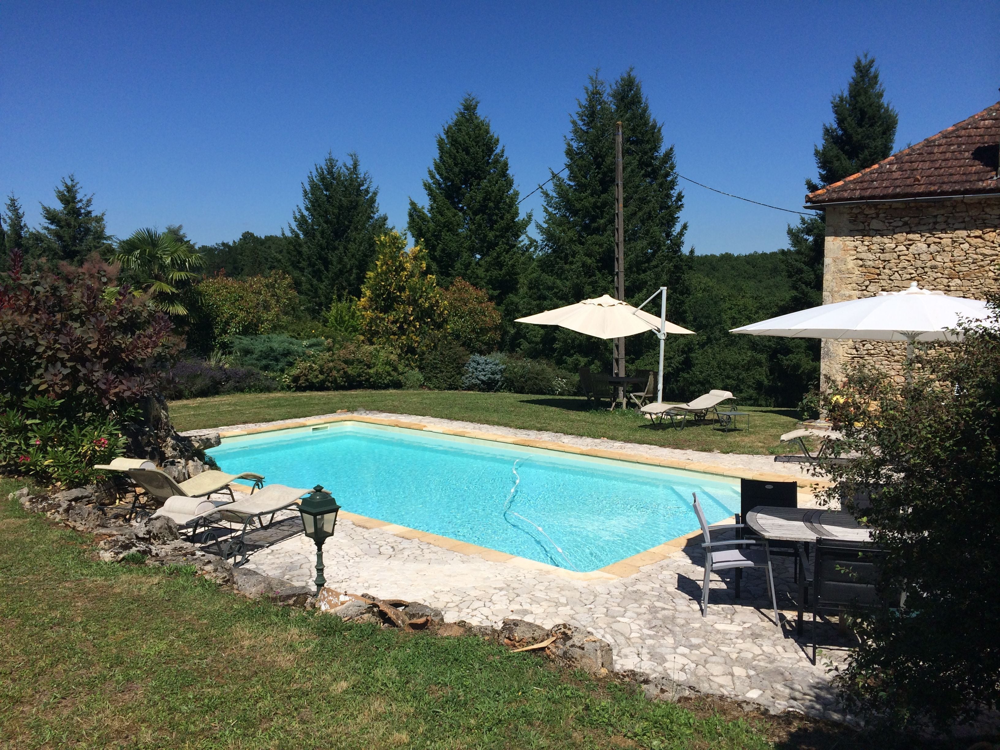 Lieu Idéale pour les repas ou la détente: la piscine.