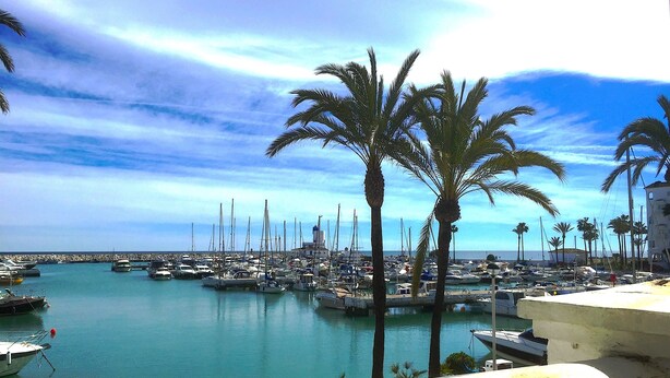 Un port de plaisance avec des bateaux amarrés, des palmiers et un ciel dégagé.