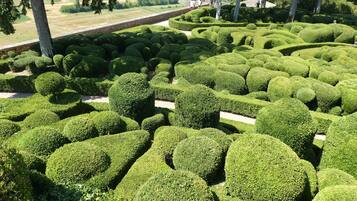 Terrein van de accommodatie