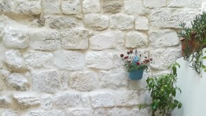 A small outdoor seating area with a round glass table, four chairs, and a potted plant. - Apartment Nikolina house in center of the old town Trogir (Trogir)