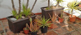 Spacious and charming with outside terrace. Very central. Free parking nearby.