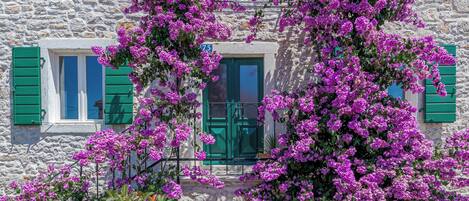 Détail de l’extérieur