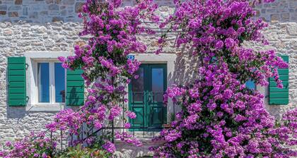 NOUVELLE MAISON EN PIERRE RENOVEE-ESPRIT DALMITE + PISCINE, 2 VOITURES INCLUS