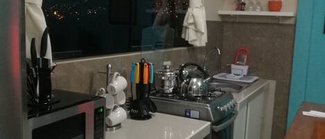 Fridge, microwave, oven, cookware/dishes/utensils