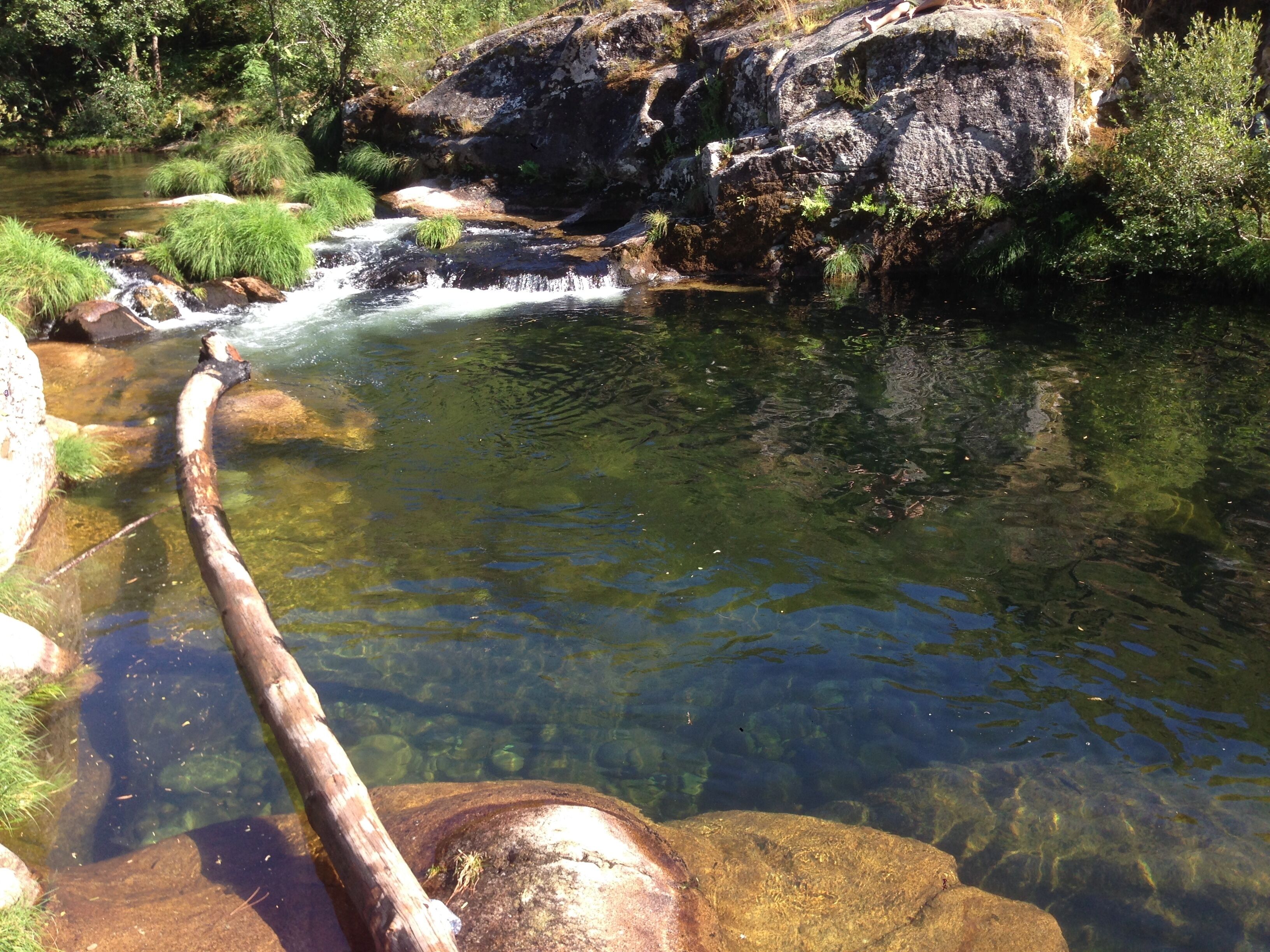 A clear stream flowing over rocks with a wooden log in the foreground.