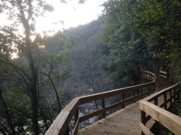 A wooden bridge leading into a forested area with dense trees and sunlight filtering through.
