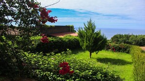 Un jardín con diversas plantas y una vista despejada del mar.