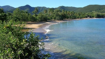 Beach nearby, sun loungers