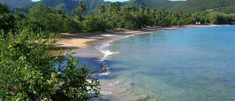 Playa en los alrededores y camastros