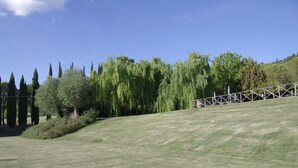 Una ladera cubierta de césped con árboles y una estructura metálica.