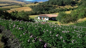 Paisaje rural con una casa rodeada de campos y una montaña al fondo.