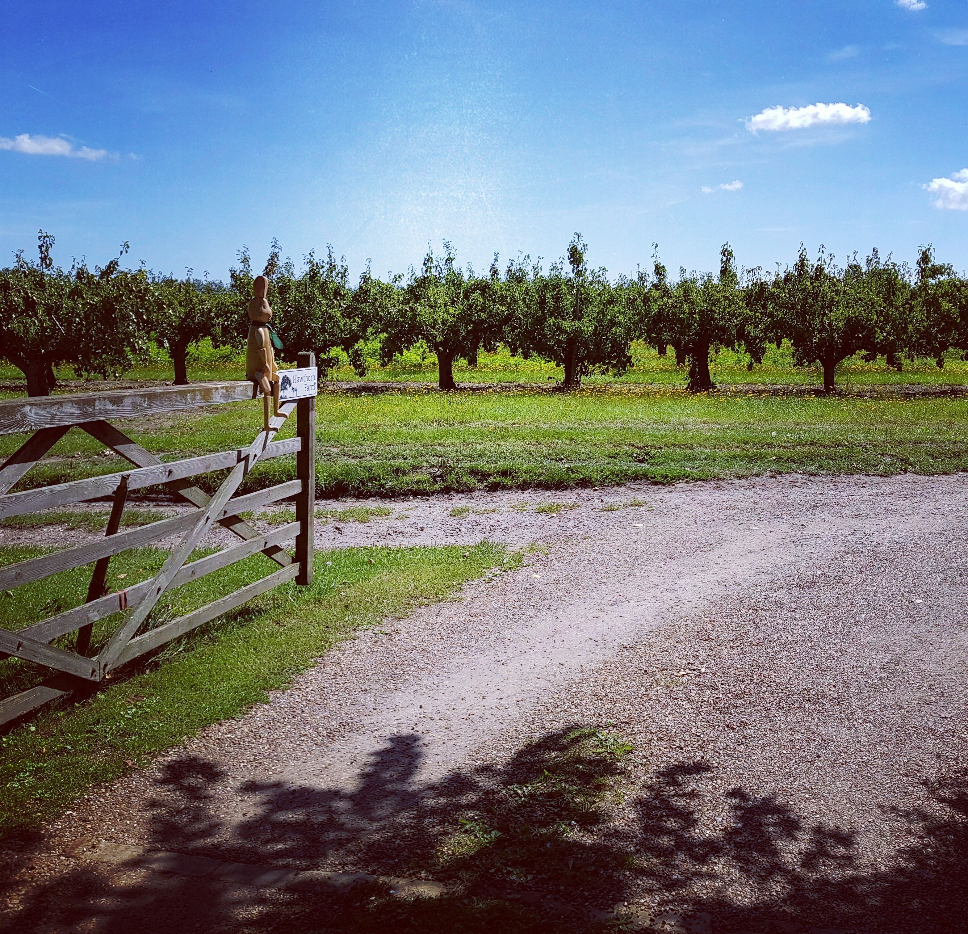Een grindpad dat leidt naar een houten poort met een bord waarop 'Hawthorne Farm' staat.