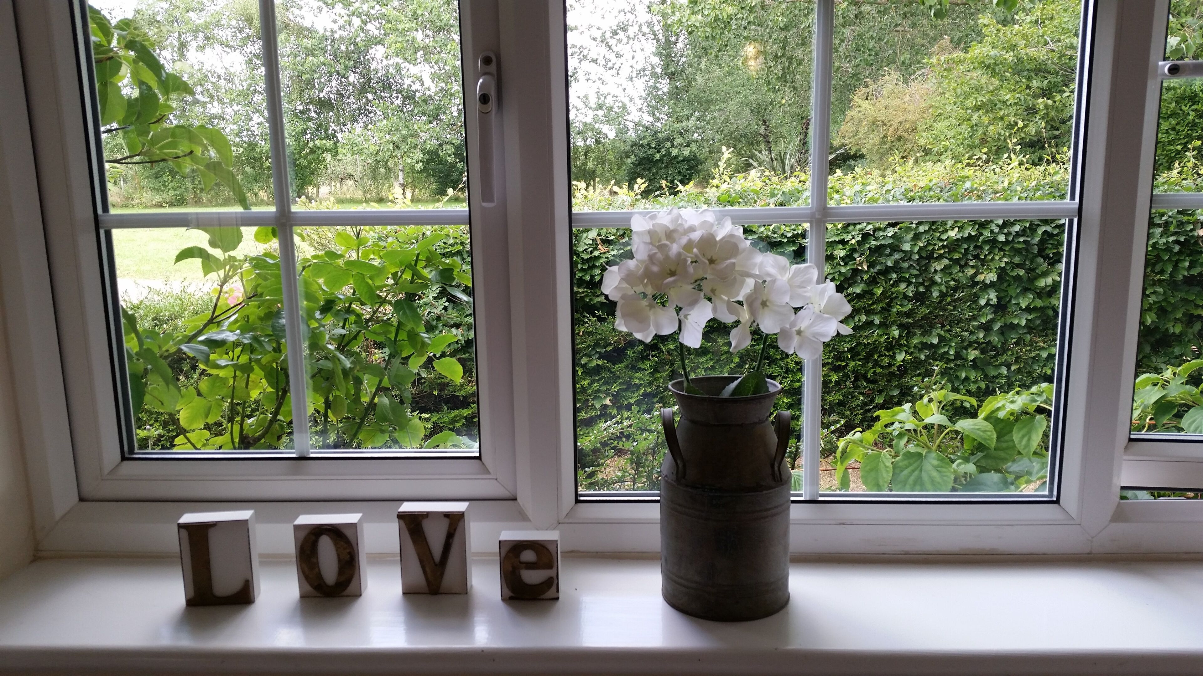 Une fenêtre donnant sur un paysage verdoyant et un vase rempli de fleurs blanches posé sur le rebord de la fenêtre.