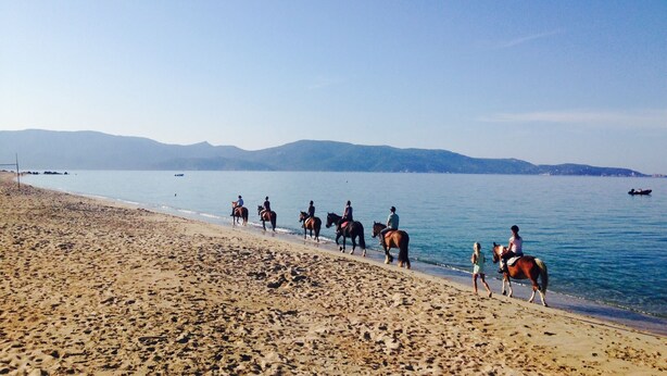 Una playa con caballos y jinetes a lo largo de la orilla, un cielo despejado y montañas al fondo.