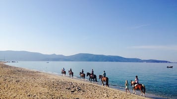 Playa