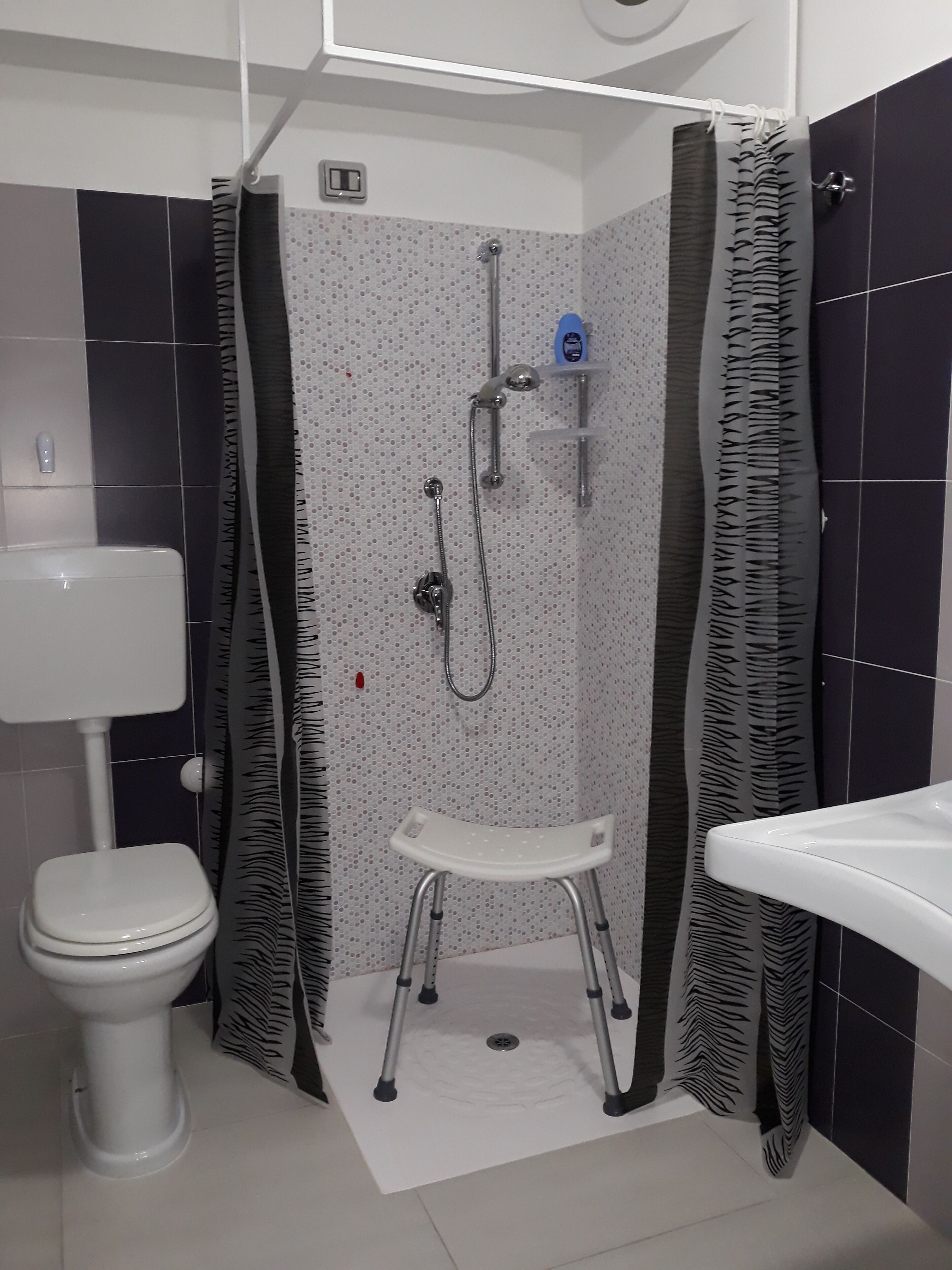 Une petite salle de bain avec des toilettes, une douche dotée d’un rideau à motifs zébrés et un lavabo blanc.