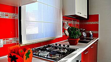 Fridge, oven, stovetop, toaster