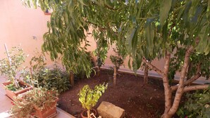 Un jardin agrémenté de différentes plantes en pot et d’une petite clôture en bois.