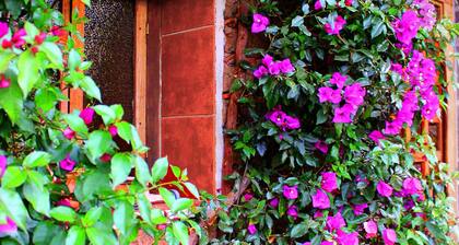 Comfortable and cozy Eucalyptus bedroom 30 min. of Toluca for Holidays.